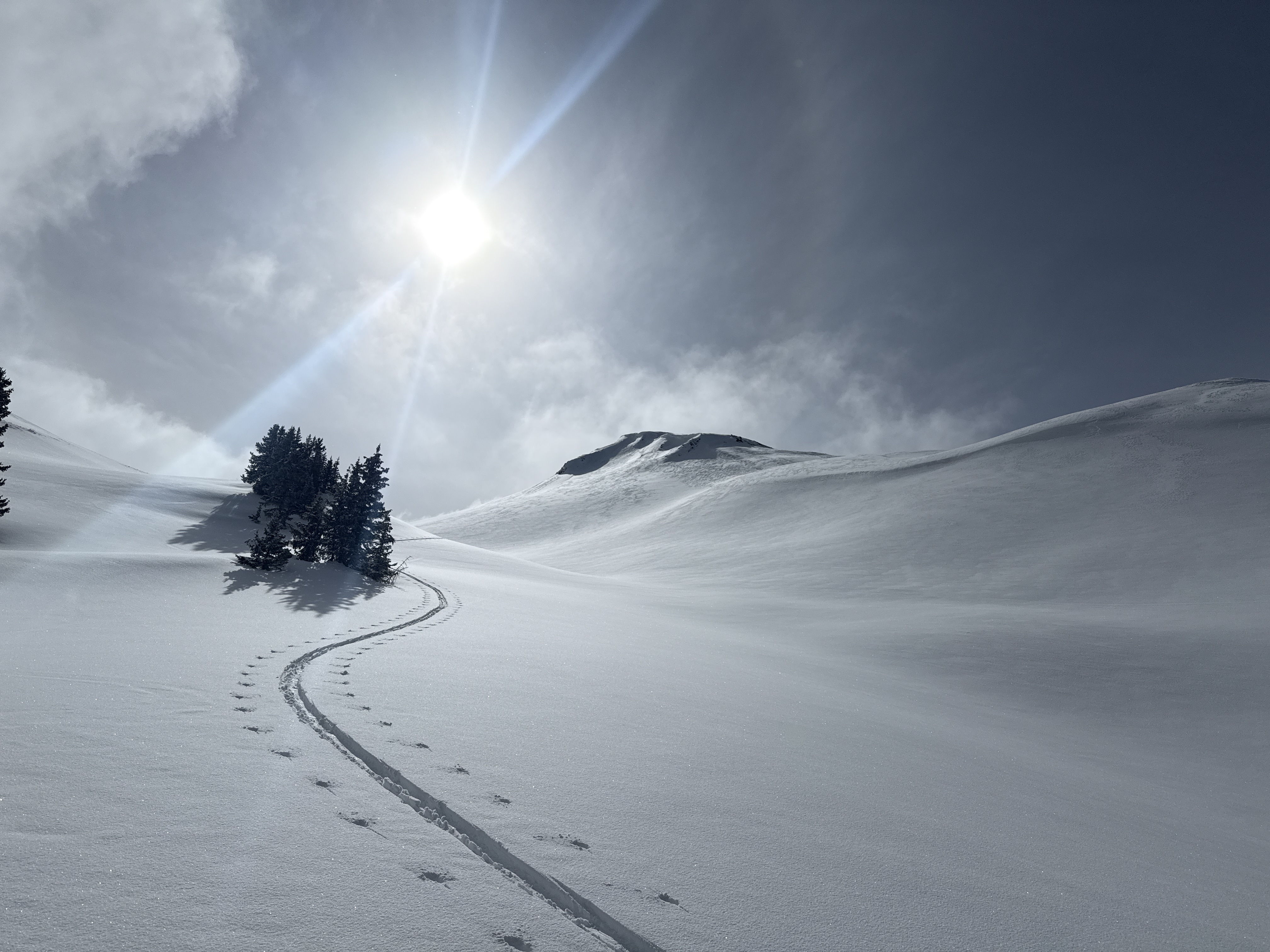 Sun rays over wind-blown Montana snowscape