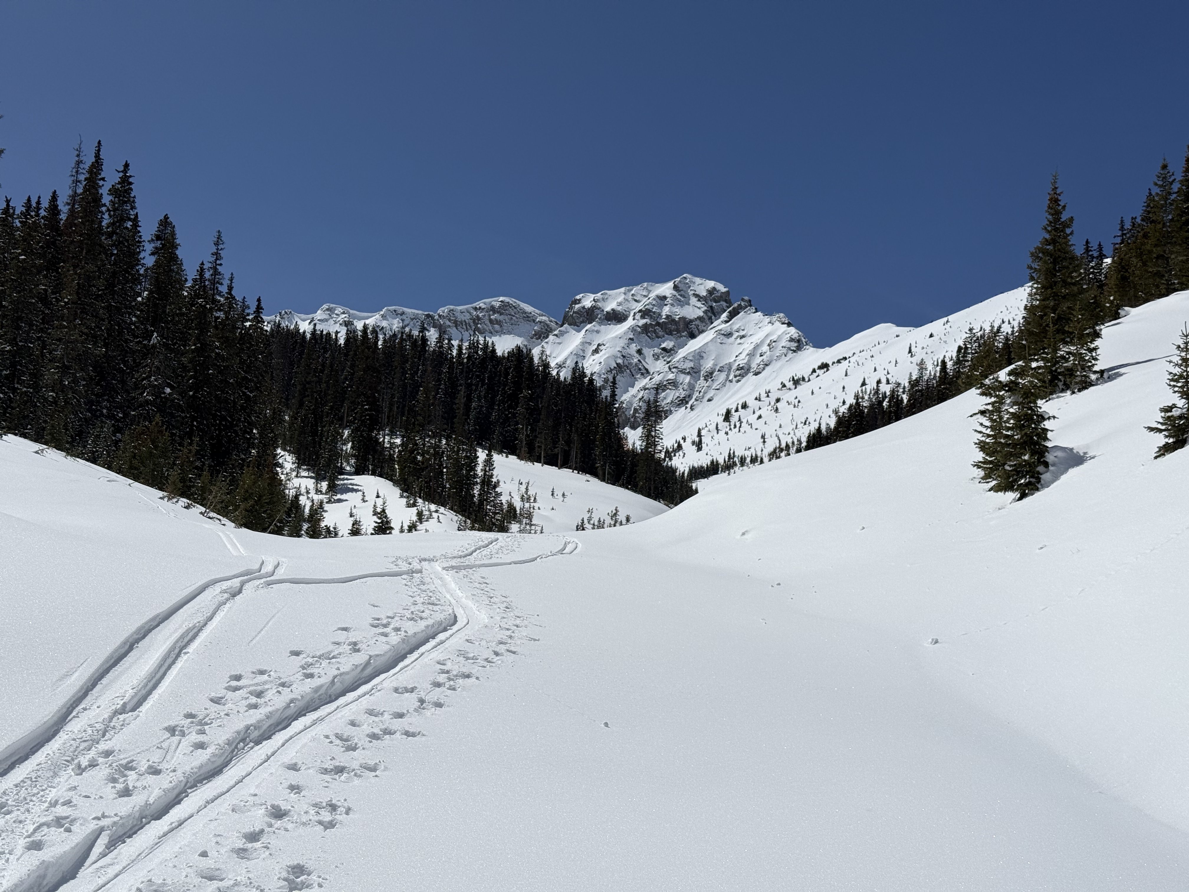 Ski track leading toward snowy peaks in Hyalite Canyon